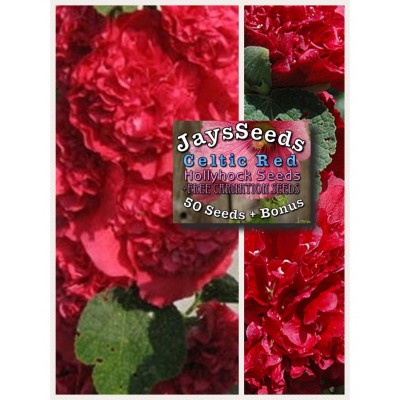 Celtic Red Seed Packet + Free Pack Mixed Carnations   